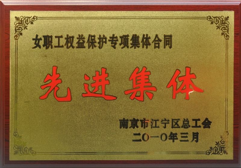 2009年度江寧區(qū)女職工權(quán)益保護(hù)專(zhuān)項(xiàng)集體合同先進(jìn)集體